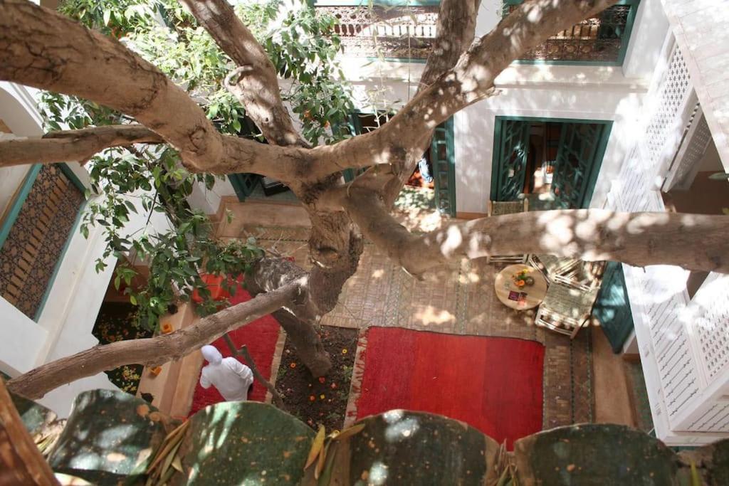 Riad Dar Zitouna Marrakesh - Entire House In Exclusivity Dış mekan fotoğraf